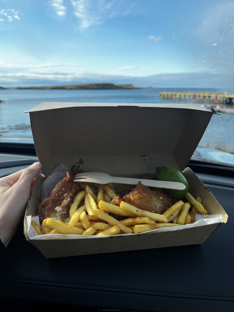 Fish and chips at Hafnarvagninn in Stykkisholmur, Snaefelsness, Iceland
