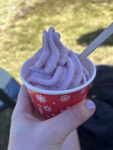 Refreshing cup of fruit-flavored ice cream from an ice cream stand at the Ketetahi parking lot for Tongariro Alpine Crossing.