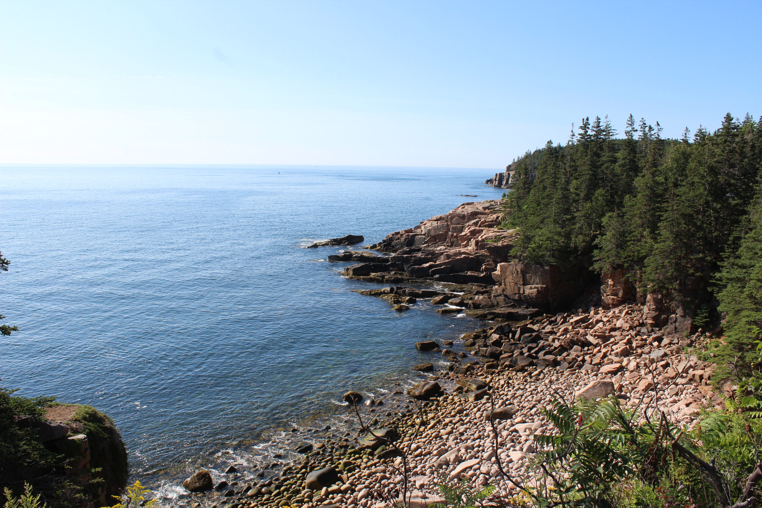 Brown rocky beach lined with tall green pine trees meeting calm blue water against a blue sky.